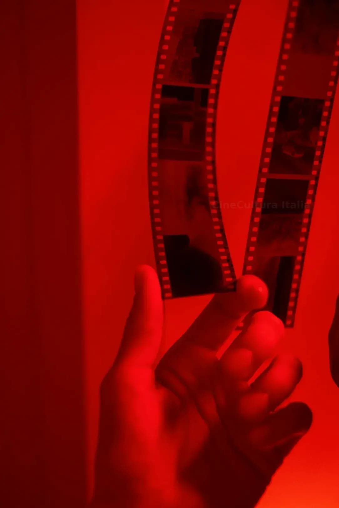 CineCultura Italia 11