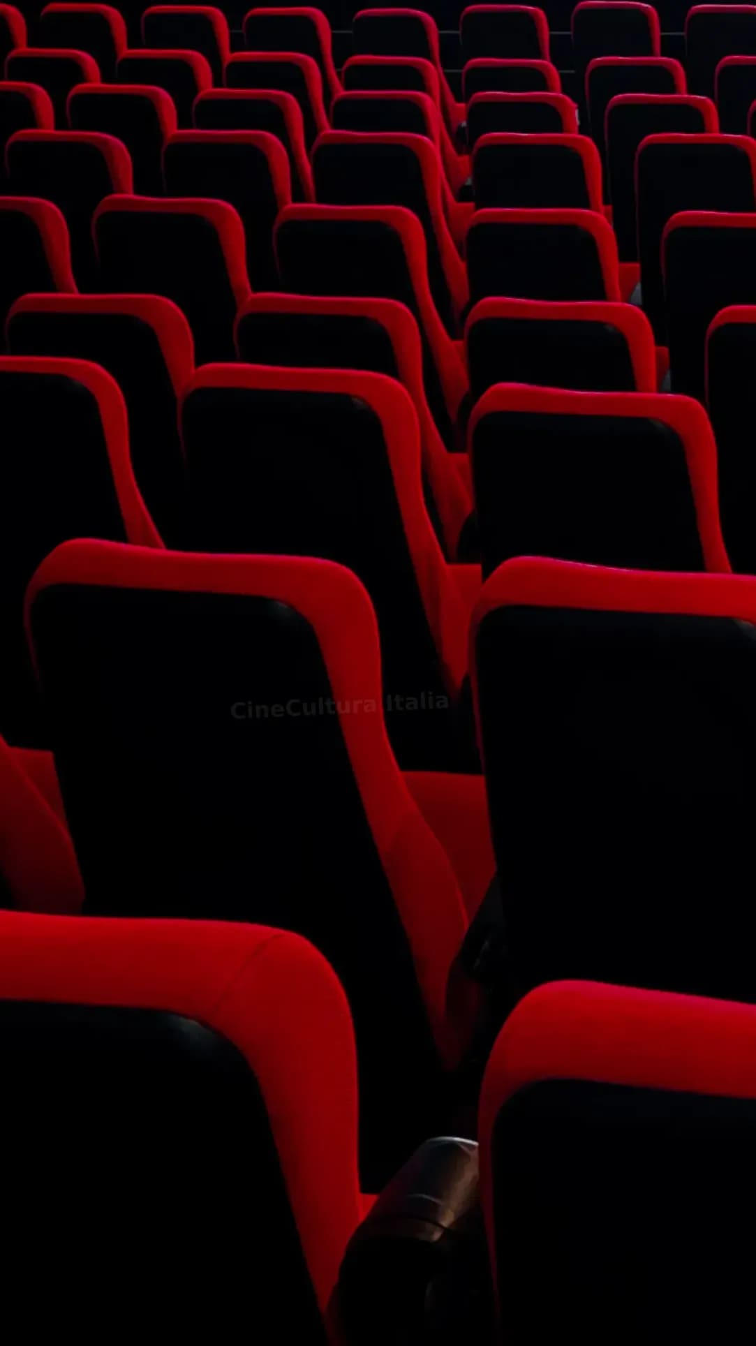 CineCultura Italia 3